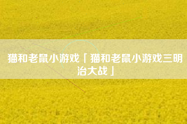 猫和老鼠小游戏「猫和老鼠小游戏三明治大战」