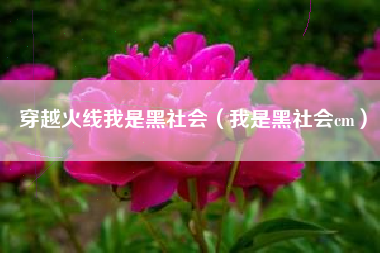 穿越火线我是黑社会（我是黑社会cm）