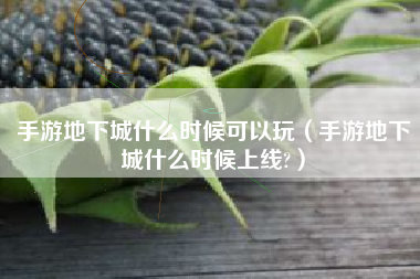 手游地下城什么时候可以玩（手游地下城什么时候上线?）