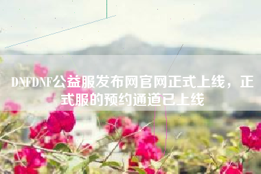 DNFDNF公益服发布网官网正式上线，正式服的预约通道已上线