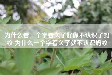 为什么看一个字看久了好像不认识了蚂蚁-为什么一个字看久了就不认识蚂蚁
