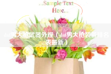 dnf男大枪武器外观（dnf男大枪装备排名表最新）