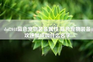 dnf2018蓝色宠物装备属性 蓝色宠物装备攻速加成叫什么名字