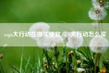 csgo大行动在哪买便宜,csgo大行动怎么买