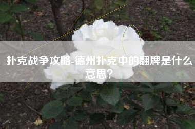 扑克战争攻略-德州扑克中的翻牌是什么意思？