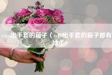 csgo出手套的箱子（csgo出手套的箱子都有啥）