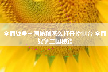 全面战争三国秘籍怎么打开控制台 全面战争三国秘籍