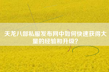 天龙八部私服发布网中如何快速获得大量的经验和升级？