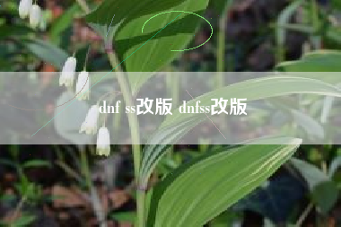 dnf ss改版 dnfss改版