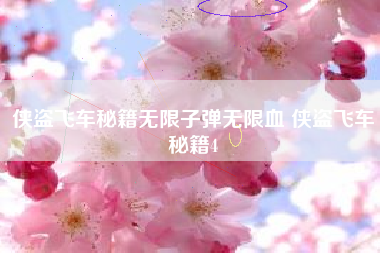 侠盗飞车秘籍无限子弹无限血 侠盗飞车秘籍4