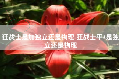 狂战士是加独立还是物理-狂战士平A是独立还是物理