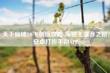 天下仙域3.0飞剑版攻略-海贼王强者之路|安卓打折手游APP