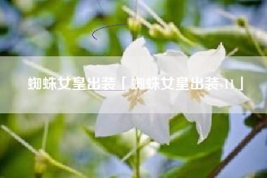 蜘蛛女皇出装「蜘蛛女皇出装s11」