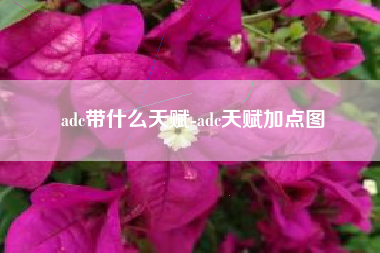 adc带什么天赋-adc天赋加点图