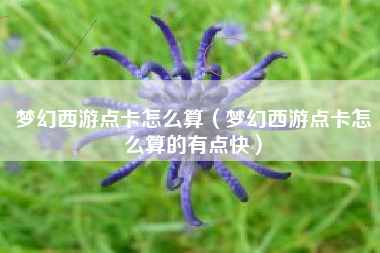 梦幻西游点卡怎么算（梦幻西游点卡怎么算的有点快）