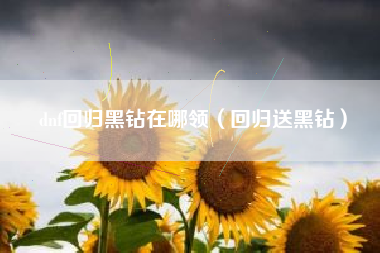 dnf回归黑钻在哪领（回归送黑钻）