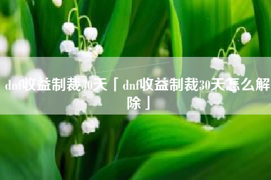 dnf收益制裁30天「dnf收益制裁30天怎么解除」