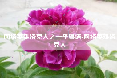 网络英雄洛克人之一季粤语-网络英雄洛克人