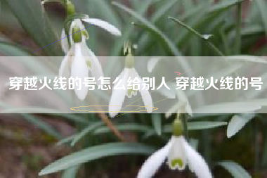 穿越火线的号怎么给别人 穿越火线的号