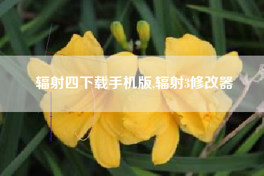 辐射四下载手机版,辐射3修改器