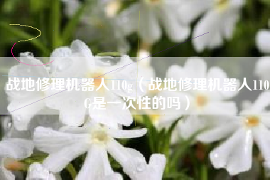 战地修理机器人110g（战地修理机器人110G是一次性的吗）