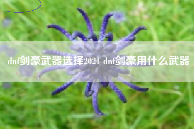 dnf剑豪武器选择2021 dnf剑豪用什么武器