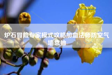 炉石冒险专家模式攻略加血法师防空气墙靠抽