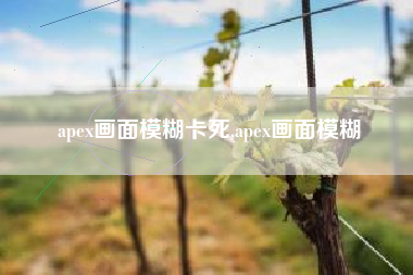apex画面模糊卡死,apex画面模糊