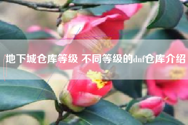 地下城仓库等级 不同等级的dnf仓库介绍