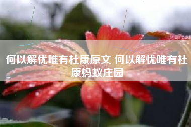 何以解忧唯有杜康原文 何以解忧唯有杜康蚂蚁庄园
