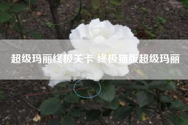 超级玛丽终极关卡 终极猫版超级玛丽