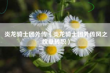 炎龙骑士团外传（炎龙骑士团外传风之纹章转职）