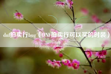 dnf拍卖行bug（DNF拍卖行可以买的时装）
