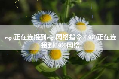 csgo正在连接到csgo网络指令-CSGO正在连接到CSGO网络