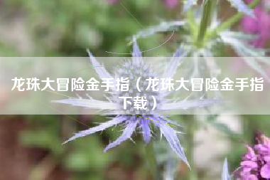 龙珠大冒险金手指（龙珠大冒险金手指下载）