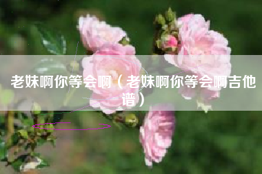老妹啊你等会啊（老妹啊你等会啊吉他谱）