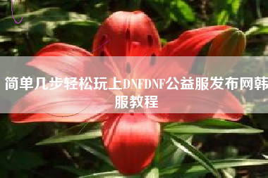 简单几步轻松玩上DNFDNF公益服发布网韩服教程