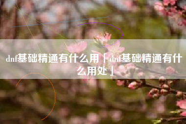 dnf基础精通有什么用「dnf基础精通有什么用处」