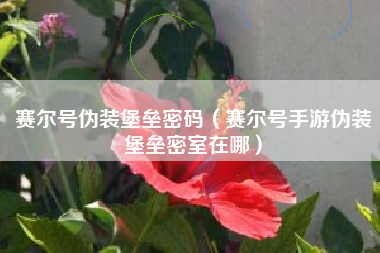 赛尔号伪装堡垒密码（赛尔号手游伪装堡垒密室在哪）