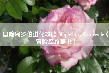 冒险岛罗伯进化攻略-MapleStory Raiders fc（冒险岛攻略书）