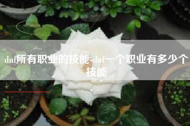 dnf所有职业的技能-dnf一个职业有多少个技能