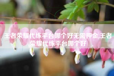 王者荣耀代练平台哪个好无需押金,王者荣耀代练平台哪个好