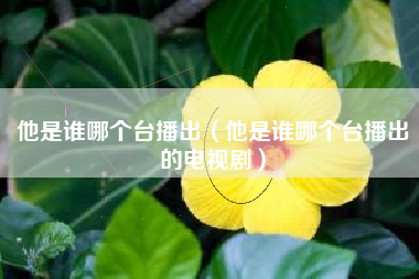 他是谁哪个台播出（他是谁哪个台播出的电视剧）