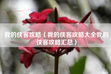 我的侠客攻略（我的侠客攻略大全我的侠客攻略汇总）