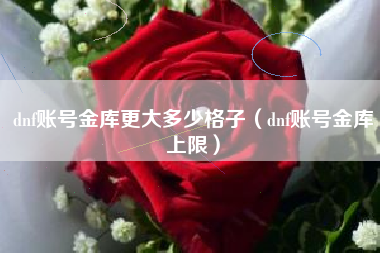 dnf账号金库更大多少格子（dnf账号金库上限）