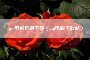 psp电影迅雷下载（psp电影下载站）