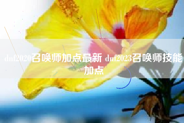 dnf2020召唤师加点最新 dnf2023召唤师技能加点