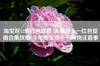 淘宝双12领红包攻略-天猫双十一红包促销合集攻略 今年淘宝双十一购物注意事项