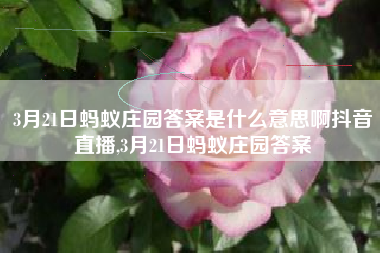 3月21日蚂蚁庄园答案是什么意思啊抖音直播,3月21日蚂蚁庄园答案