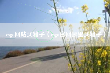 csgo网站买箱子（csgo官网哪里买箱子）